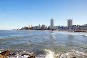 fotos de gaviotas de Argentina